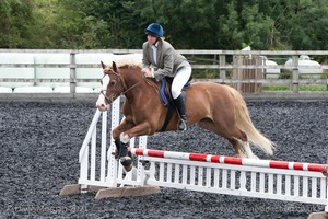 Class 5 - Fences not above 2'6